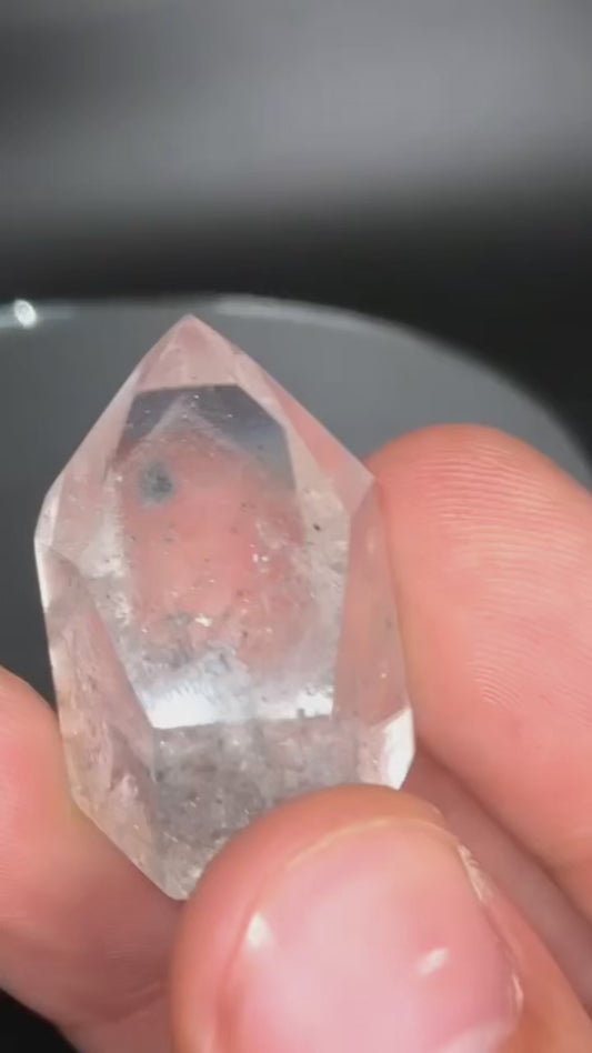 AAA Black Phantom Lemurian With Rainbow