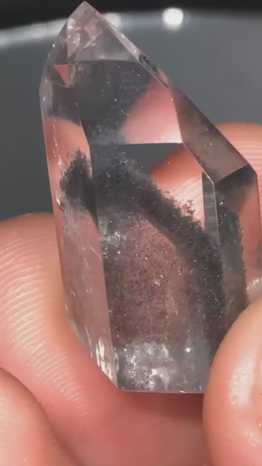 AAA Black Phantom Lemurian With Rainbows