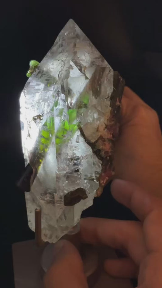 Natural Smoky Elestial With High Quality Vibrant Watermelon Tourmaline Collectors Piece