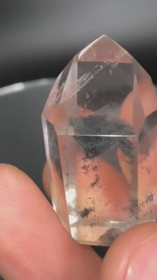 AAA Black Phantom Lemurian