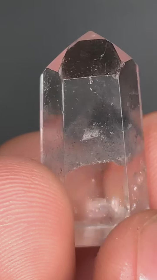 AAA Black Phantom Lemurian With Rainbows