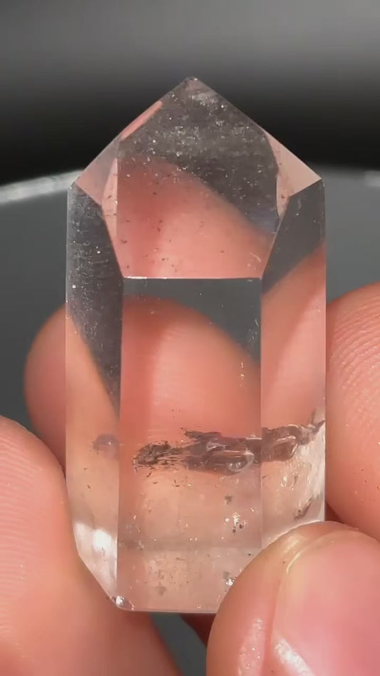 AAA Black Phantom Lemurian With Rainbows