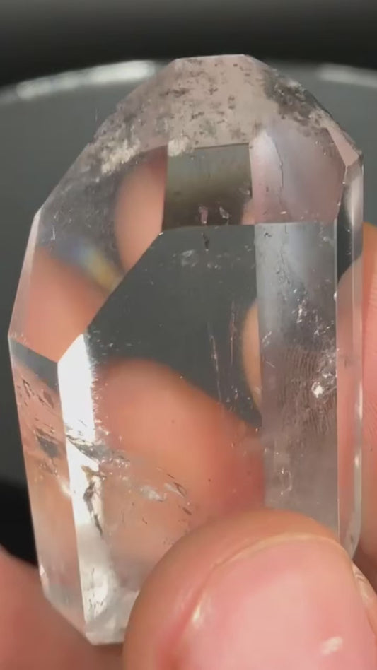 AAA Black Phantom Lemurian With Rainbows