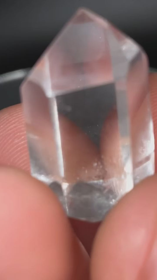 AAA Black Phantom Lemurian